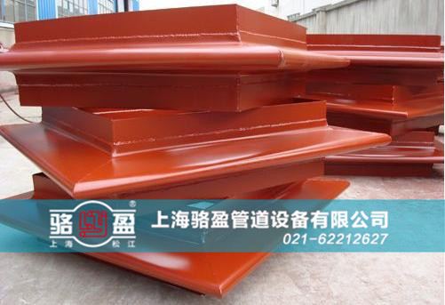 駱盈<a href=http://www.ktcandy.com target=_blank class=infotextkey>補償器</a>近景圖